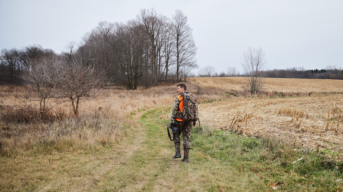 Rifle hunter on a field edge in late fall, when cold air buys a few hours on a cape
